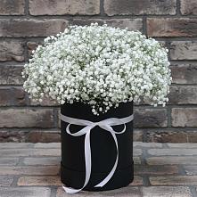 Цветочная композиция из Гипсофила в шляпной коробке в Атамановке